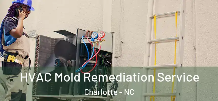  HVAC Mold Remediation Service Charlotte - NC
