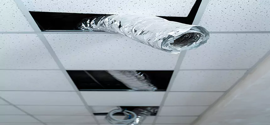 Our Air Duct Pet Hair Removal Services in Charlotte, NC