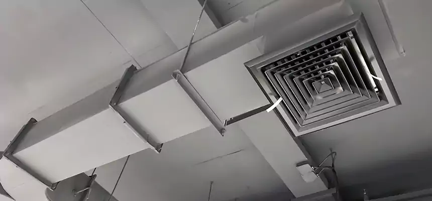 Restorative Allergy Relief Vent Cleaning – Coil, Blower & Housing Detail in Charlotte