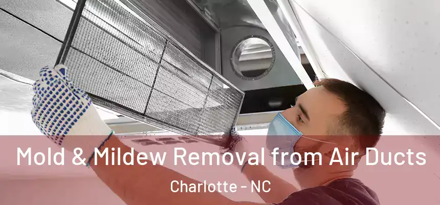  Mold & Mildew Removal from Air Ducts Charlotte - NC