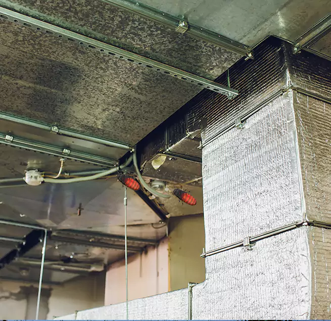 Why Homeowners & Businesses Trust Us in Charlotte, NC?