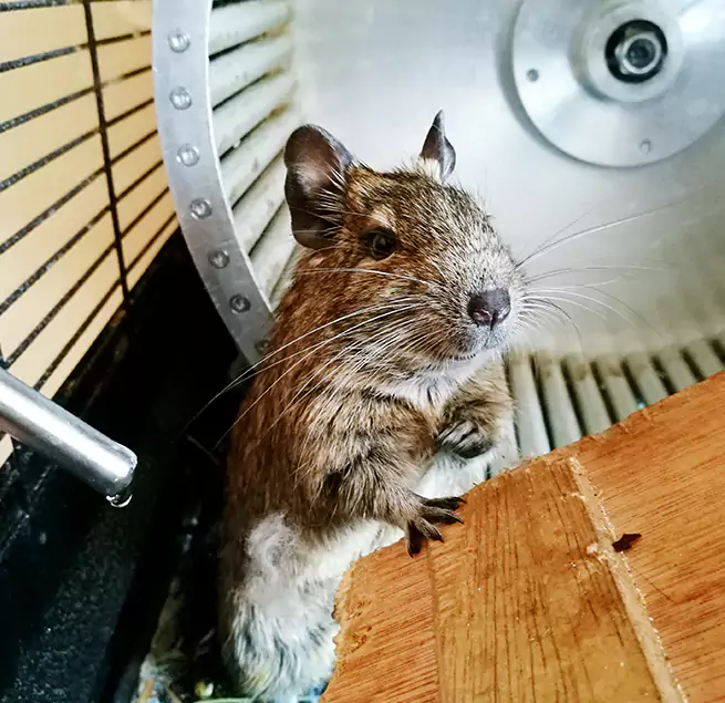 Why Homeowners & Businesses Trust Us Charlotte, NC