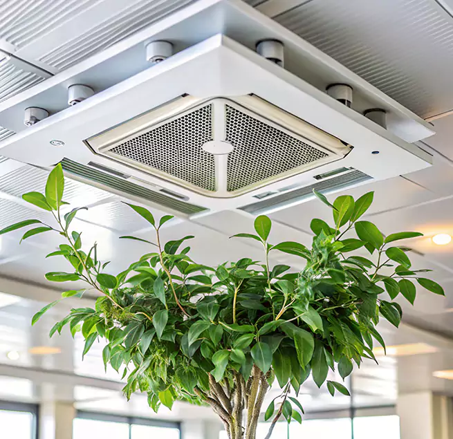 Why Homeowners & Businesses Trust Us in Charlotte, NC